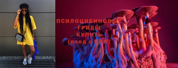 дживик Абинск
