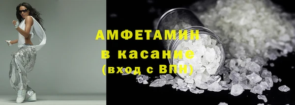 прущие грибы Россошь