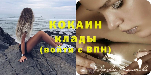 дживик Абинск