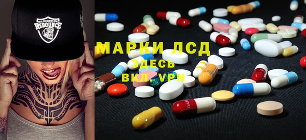 прущие грибы Россошь