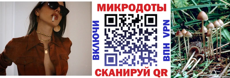 Галлюциногенные грибы Psilocybine cubensis OMG как войти нарко площадка состав Калачинск